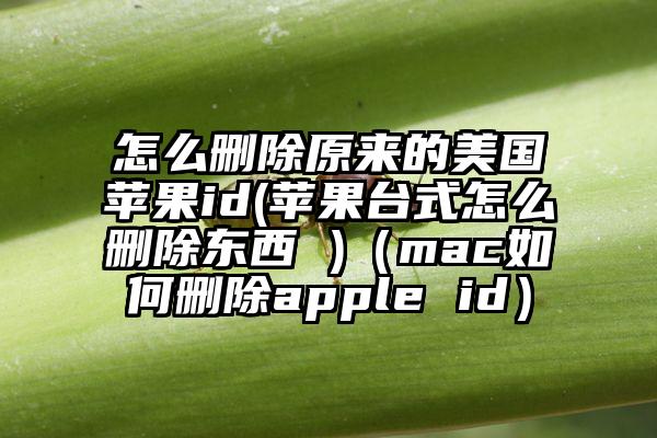 怎么删除原来的美国苹果id(苹果台式怎么删除东西 )（mac如何删除apple id）