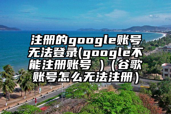 注册的google账号无法登录(google不能注册账号 )（谷歌账号怎么无法注册）