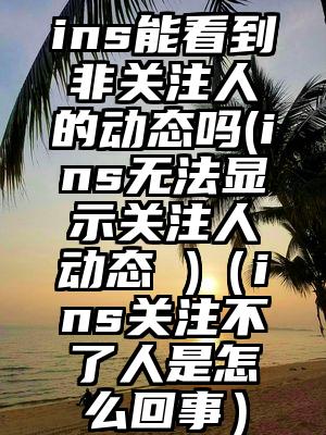 ins能看到非关注人的动态吗(ins无法显示关注人动态 )（ins关注不了人是怎么回事）