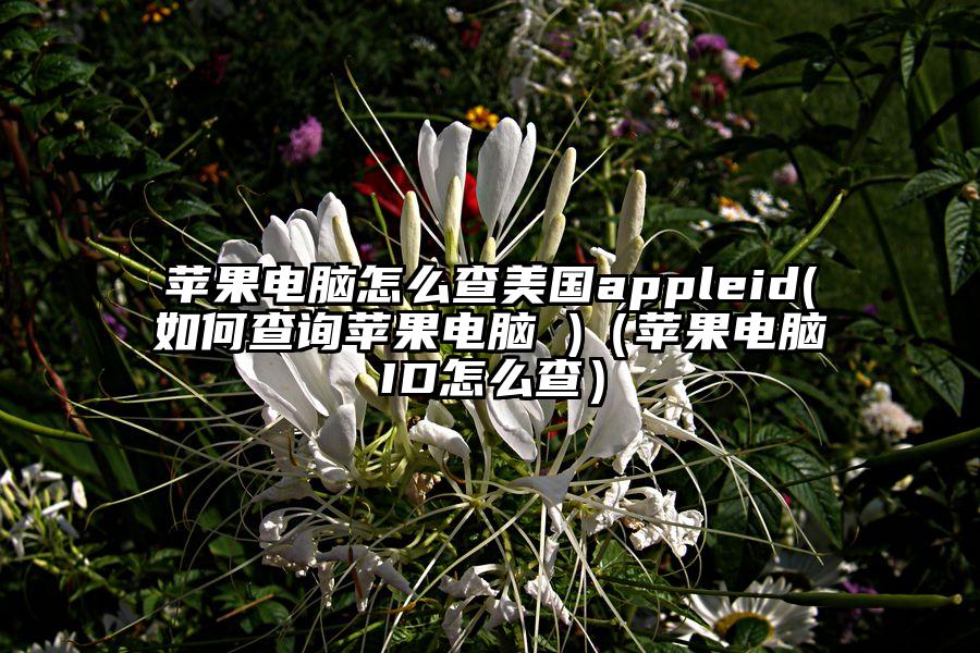 苹果电脑怎么查美国appleid(如何查询苹果电脑 )（苹果电脑ID怎么查）