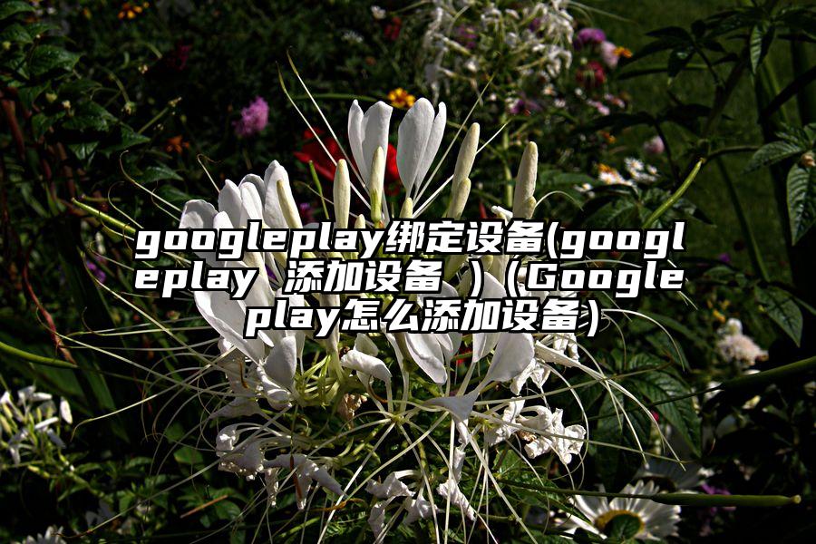 googleplay绑定设备(googleplay 添加设备 )（Google play怎么添加设备）