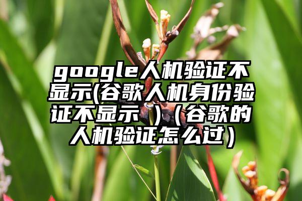 google人机验证不显示(谷歌人机身份验证不显示 )（谷歌的人机验证怎么过）