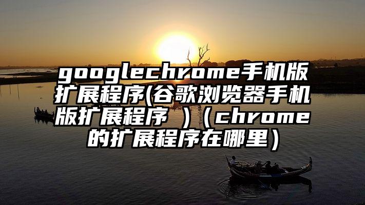 googlechrome手机版扩展程序(谷歌浏览器手机版扩展程序 )（chrome的扩展程序在哪里）