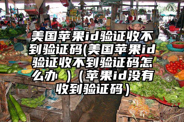 美国苹果id验证收不到验证码(美国苹果id验证收不到验证码怎么办 )（苹果id没有收到验证码）