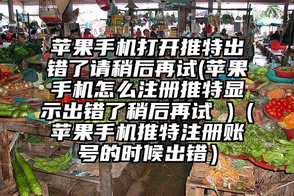 苹果手机打开推特出错了请稍后再试(苹果手机怎么注册推特显示出错了稍后再试 )（苹果手机推特注册账号的时候出错）