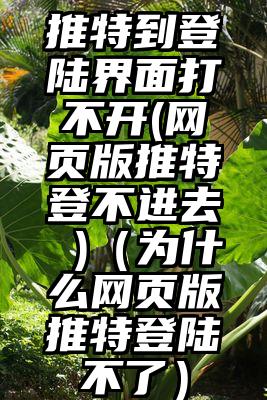 推特到登陆界面打不开(网页版推特登不进去 )（为什么网页版推特登陆不了）