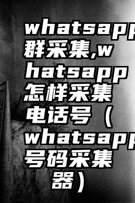 whatsapp群采集,whatsapp怎样采集电话号（whatsapp号码采集器）