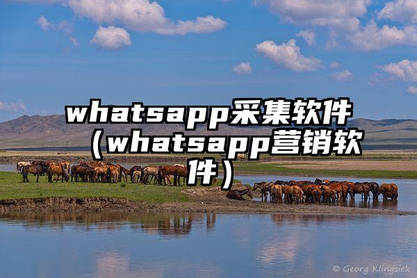 whatsapp采集软件（whatsapp营销软件）