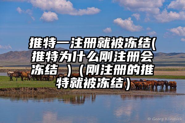 推特一注册就被冻结(推特为什么刚注册会冻结 )（刚注册的推特就被冻结）