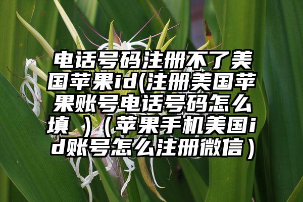 电话号码注册不了美国苹果id(注册美国苹果账号电话号码怎么填 )（苹果手机美国id账号怎么注册微信）