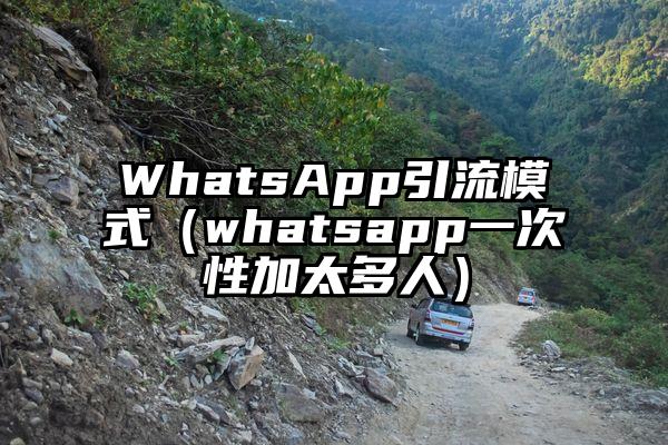 WhatsApp引流模式（whatsapp一次性加太多人）