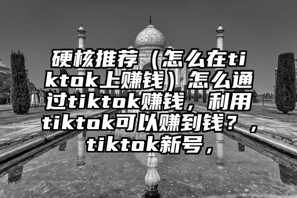 硬核推荐（怎么在tiktok上赚钱）怎么通过tiktok赚钱，利用tiktok可以赚到钱？，tiktok新号，