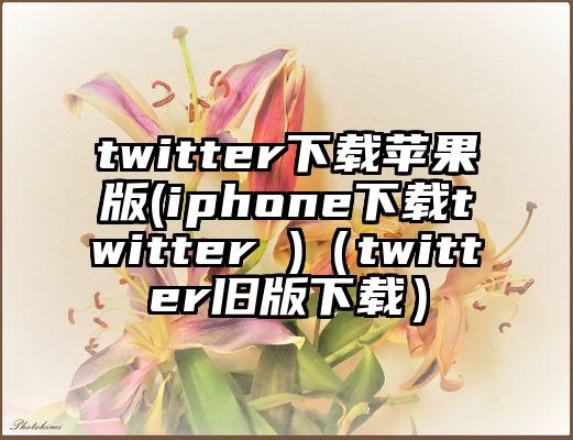 twitter下载苹果版(iphone下载twitter )（twitter旧版下载）