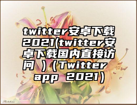 twitter安卓下载2021(twitter安卓下载国内直接访问 )（Twitter app 2021）