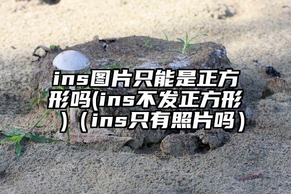 ins图片只能是正方形吗(ins不发正方形 )（ins只有照片吗）