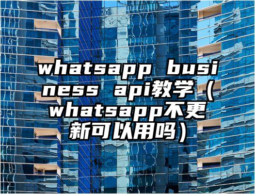 whatsapp business api教学（whatsapp不更新可以用吗）