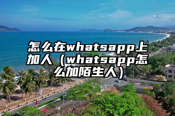 怎么在whatsapp上加人（whatsapp怎么加陌生人）