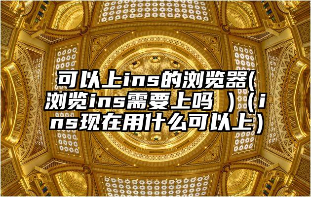 可以上ins的浏览器(浏览ins需要上吗 )（ins现在用什么可以上）