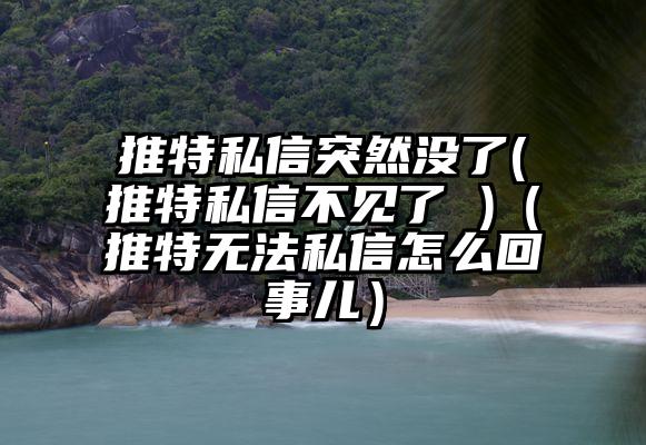 推特私信突然没了(推特私信不见了 )（推特无法私信怎么回事儿）