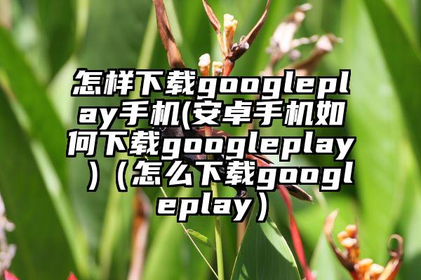 怎样下载googleplay手机(安卓手机如何下载googleplay )（怎么下载googleplay）