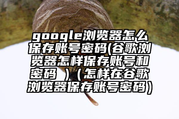 google浏览器怎么保存账号密码(谷歌浏览器怎样保存账号和密码 )（怎样在谷歌浏览器保存账号密码）