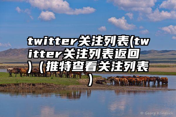 twitter关注列表(twitter关注列表返回 )（推特查看关注列表）