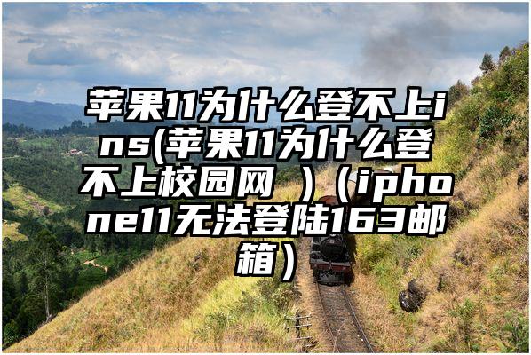 苹果11为什么登不上ins(苹果11为什么登不上校园网 )（iphone11无法登陆163邮箱）