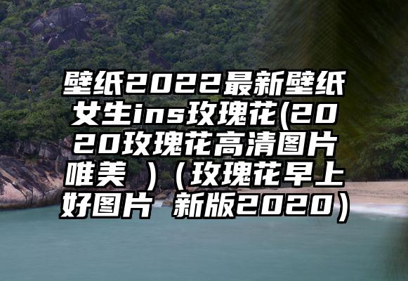 壁纸2022最新壁纸女生ins玫瑰花(2020玫瑰花高清图片唯美 )（玫瑰花早上好图片 新版2020）