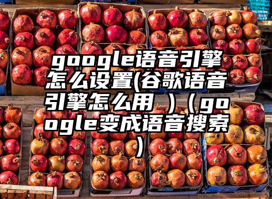 google语音引擎怎么设置(谷歌语音引擎怎么用 )（google变成语音搜索）