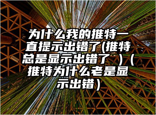 为什么我的推特一直提示出错了(推特总是显示出错了 )（推特为什么老是显示出错）