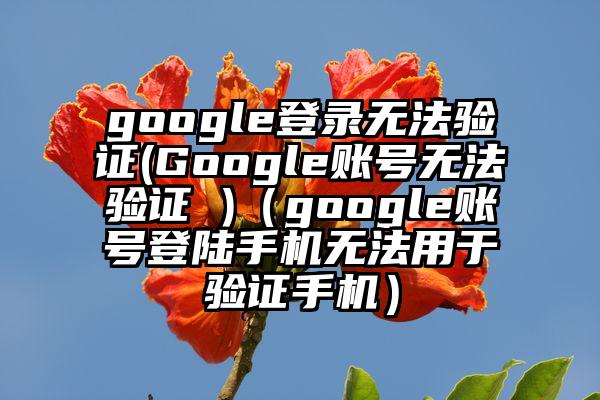 google登录无法验证(Google账号无法验证 )（google账号登陆手机无法用于验证手机）