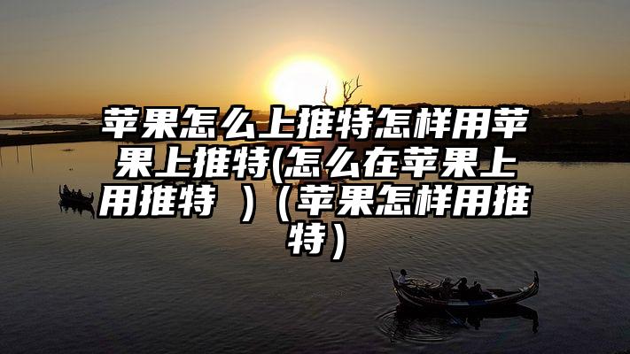 苹果怎么上推特怎样用苹果上推特(怎么在苹果上用推特 )（苹果怎样用推特）