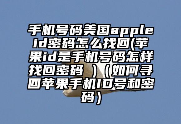 手机号码美国appleid密码怎么找回(苹果id是手机号码怎样找回密码 )（如何寻回苹果手机ID号和密码）