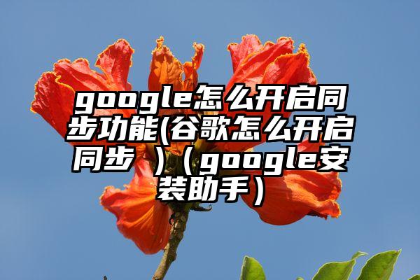 google怎么开启同步功能(谷歌怎么开启同步 )（google安装助手）