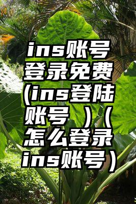 ins账号登录免费(ins登陆账号 )（怎么登录ins账号）