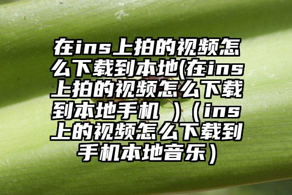 在ins上拍的视频怎么下载到本地(在ins上拍的视频怎么下载到本地手机 )（ins上的视频怎么下载到手机本地音乐）