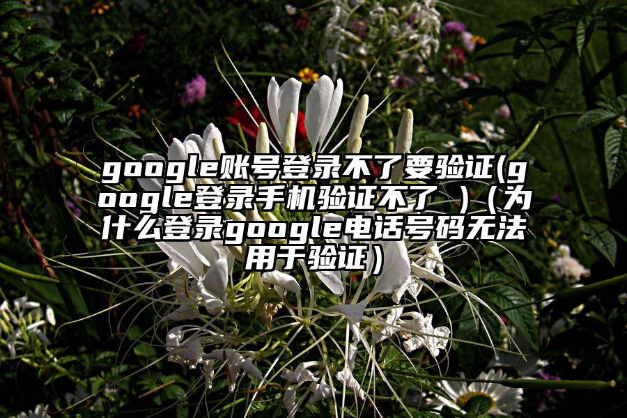 google账号登录不了要验证(google登录手机验证不了 )（为什么登录google电话号码无法用于验证）