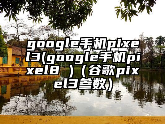 google手机pixel3(google手机pixel8 )（谷歌pixel3参数）