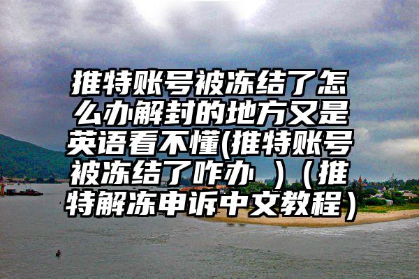 推特账号被冻结了怎么办解封的地方又是英语看不懂(推特账号被冻结了咋办 )（推特解冻申诉中文教程）