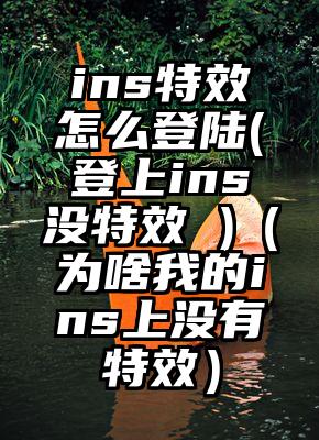 ins特效怎么登陆(登上ins没特效 )（为啥我的ins上没有特效）