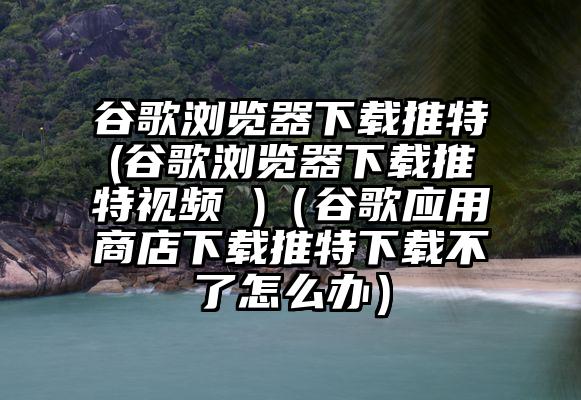 谷歌浏览器下载推特(谷歌浏览器下载推特视频 )（谷歌应用商店下载推特下载不了怎么办）