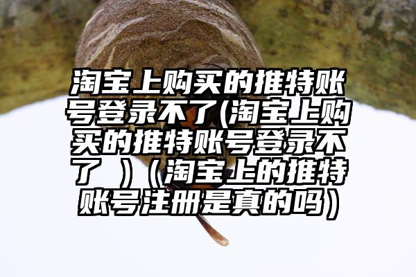 淘宝上购买的推特账号登录不了(淘宝上购买的推特账号登录不了 )（淘宝上的推特账号注册是真的吗）