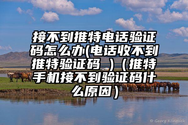 接不到推特电话验证码怎么办(电话收不到推特验证码 )（推特手机接不到验证码什么原因）