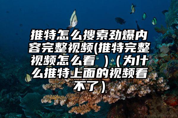 推特怎么搜索劲爆内容完整视频(推特完整视频怎么看 )（为什么推特上面的视频看不了）