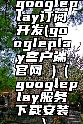 googleplay订阅开发(googleplay客户端官网 )（googleplay服务下载安装）