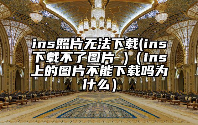 ins照片无法下载(ins下载不了图片 )（ins上的图片不能下载吗为什么）