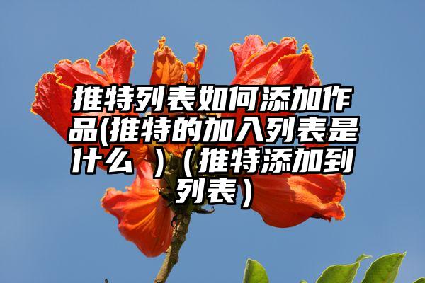 推特列表如何添加作品(推特的加入列表是什么 )（推特添加到列表）