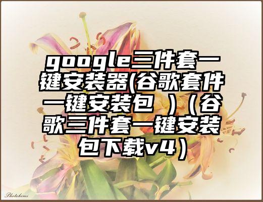 google三件套一键安装器(谷歌套件一键安装包 )（谷歌三件套一键安装包下载v4）