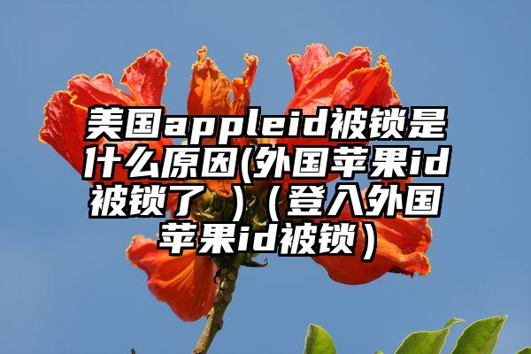 美国appleid被锁是什么原因(外国苹果id被锁了 )（登入外国苹果id被锁）