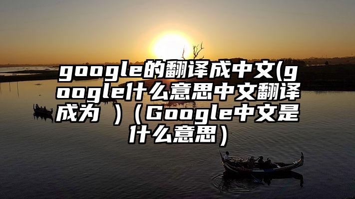 google的翻译成中文(google什么意思中文翻译成为 )（Google中文是什么意思）